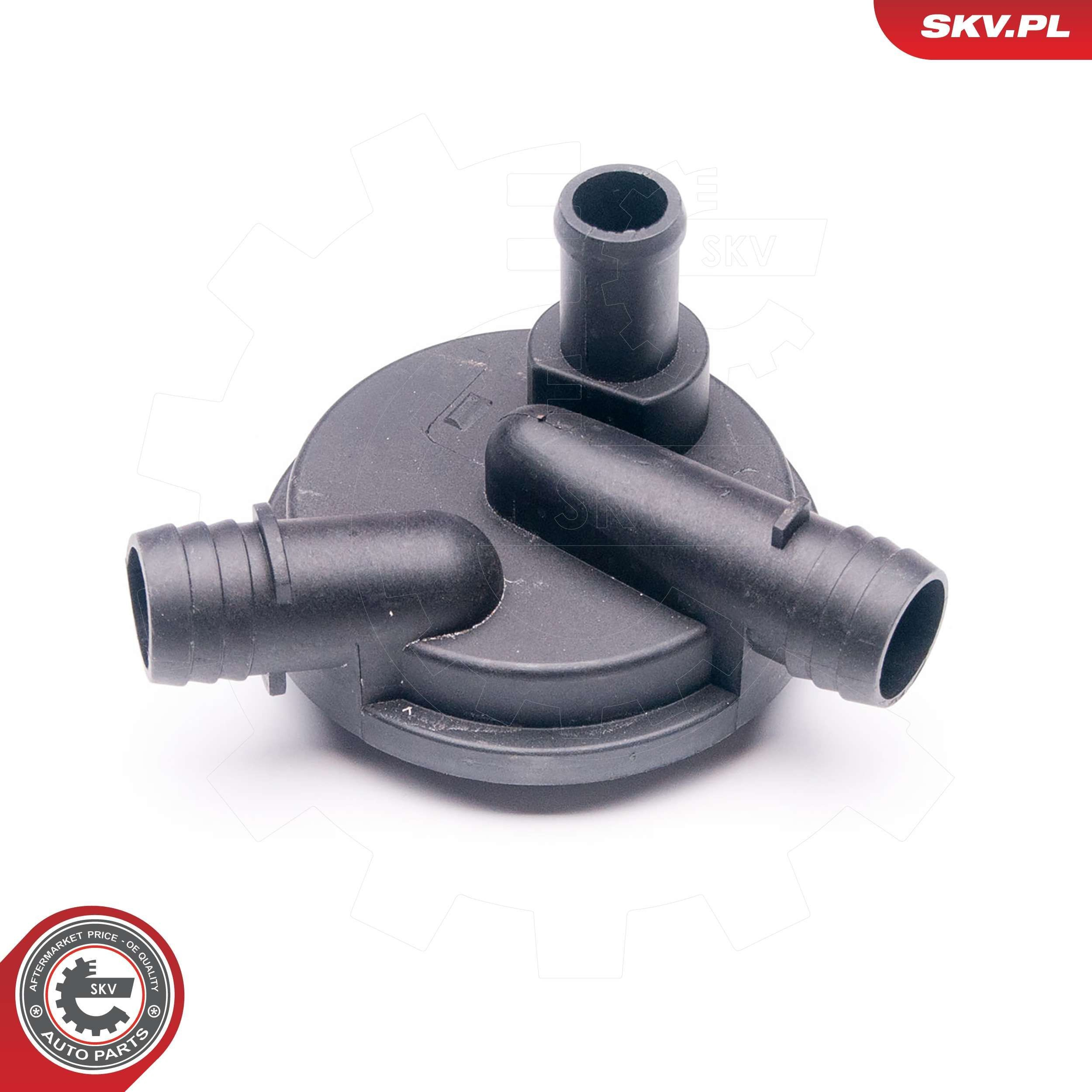 31SKV012 SKV